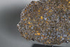 Brahin Pallasite - 608 grams