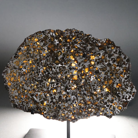 Brahin Pallasite - 608 grams