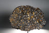 Brahin Pallasite - 608 grams