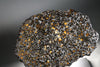 Brahin Pallasite - 608 grams