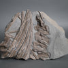 Articulated Ichthyosaur Vertebrae and Ribs