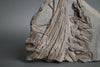 Articulated Ichthyosaur Vertebrae and Ribs