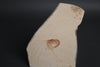 Fossil Shrimp from Solnhofen Germany
