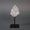 Lunar Meteorite Slice, Gadamis 005 - 27 grams