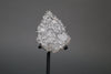Lunar Meteorite Slice, Gadamis 005 - 27 grams