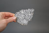 Lunar Meteorite Slice, Gadamis 005 - 27 grams