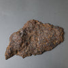Brahin Pallasite End Piece