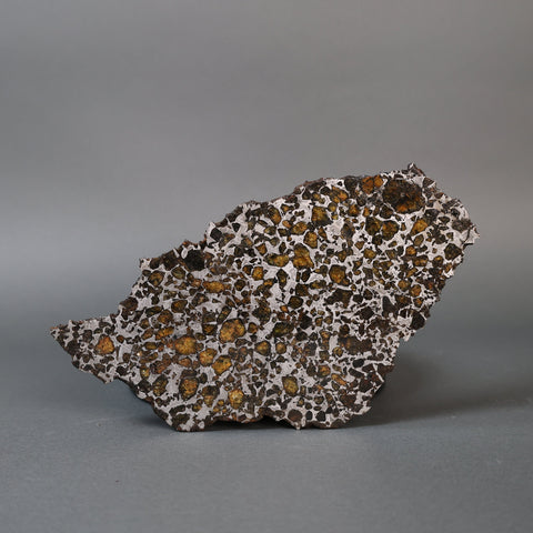 Brahin Pallasite End Piece