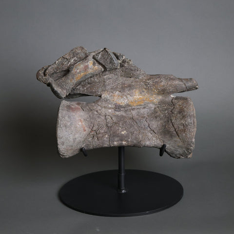 An ancient fossilized bone specimen mounted on a black metal display stand, photographed against a neutral dark gray studio background.