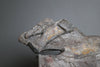 Mounted Sauropod Caudal Vertebrae
