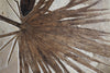 Fossil Palm Frond