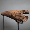 Triceratops Brow Horn - 16"
