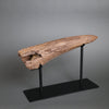 Triceratops Brow Horn - 16"