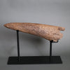 Triceratops Brow Horn - 16"