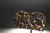 Brahin Pallasite - 143 grams