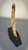 Woolly Mammoth Tusk - 22.5"