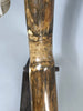 Woolly Mammoth Tusk Pair, Dwarf Subspecies