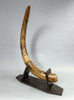 Woolly Mammoth Tusk Pair, Dwarf Subspecies