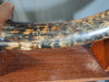 Woolly Mammoth Tusk - 8' long