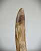Woolly Mammoth Tusk - 22.5"