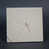 Fossil Water Strider from Solnhofen, Germany