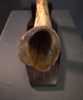 Woolly Mammoth Tusk - 31.5”