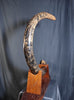 Woolly Mammoth Tusk - 8' long