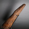 Large Triceratops Brow Horn - 22”