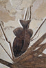 Fossil Palm Frond
