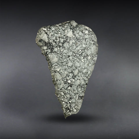 Lunar Slice, Gadamis 005 - 124.8 grams