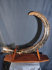 Woolly Mammoth Tusk - 8' long