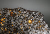 Brahin Pallasite - 509 grams