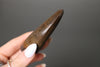 Vault Series #6 - Fine Tyrannosaurus rex Tooth