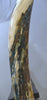 Woolly Mammoth Tusk - 40”