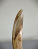 Woolly Mammoth Tusk - 22.5"