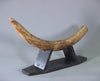Woolly Mammoth Tusk - 31”