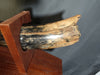 Woolly Mammoth Tusk - 8' long