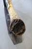 Woolly Mammoth Tusk - 40”