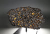 Brahin Pallasite - 509 grams