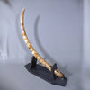 Woolly Mammoth Tusk - 44.5"