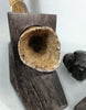 Woolly Mammoth Tusk Pair, Dwarf Subspecies