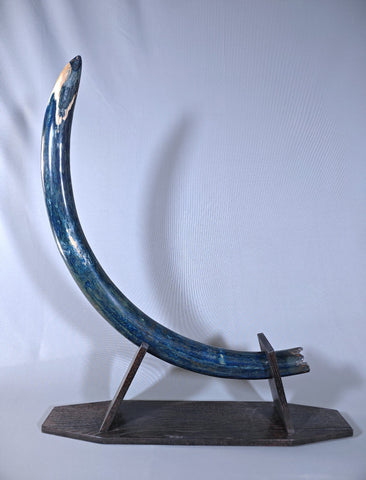 Blue Woolly Mammoth Tusk - 57"