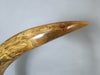Woolly Mammoth Tusk Pair, Dwarf Subspecies
