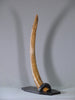 Woolly Mammoth Tusk - 39.5”