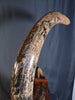 Woolly Mammoth Tusk - 8' long