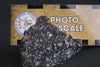 Lunar Meteorite Slice NWA 14685 - 34 grams