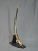 Woolly Mammoth Tusk - 41"