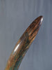 Woolly Mammoth Tusk - 41"