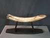 Woolly Mammoth Tusk - 23.5”