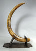 Woolly Mammoth Tusk Pair, Dwarf Subspecies